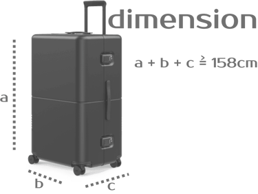 checked bag dim