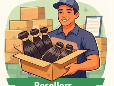 Serving Hair Brands, Salons & Distributors Worldwide, vietnamese hair supplier