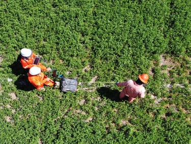 EXPLORACIÓN GEOFÍSICA CON EL MÉTODO DE GEORRADAR DE PENETRACIÓN TERRESTRE