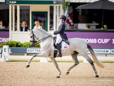 Dressage rider on a grey spanish horse in medium trot