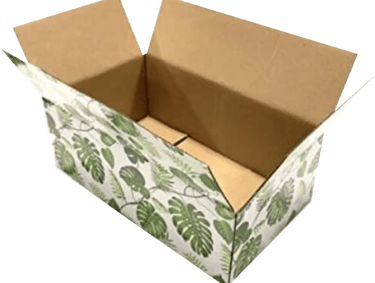 Printed corrugated Box