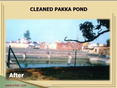 Cleaned Pakka Pond
