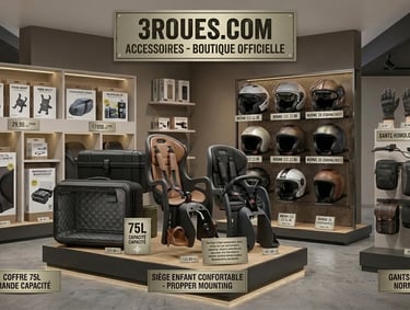 accessoires de scooters électriques à 3 Roues de 3Roues.com
