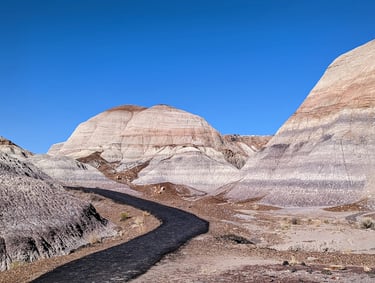 Petrified Forest National Park