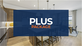 Home Display Media Plus Package Pricing