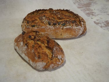 Pain à tout légumineuses, pois chiche, seigle, graines, boulangerie mobile Perlimpinpains, Embrun