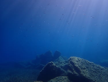 Environnement sous-marin