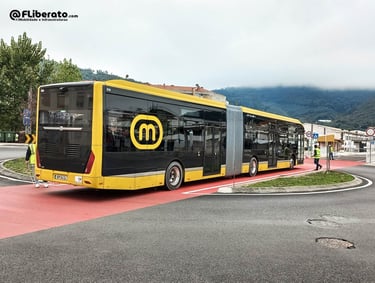 rodovias metro mondego coimbra lousã