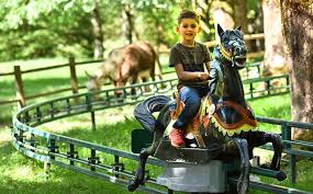 les chevaux galopants manèges pour toute la famille
