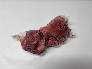 vakuumiertes Produkt, tiefgekühlter Fleischblock; Rinderkehlkopf