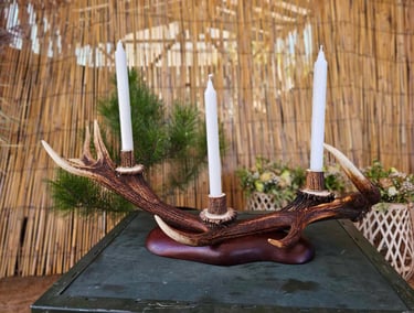 Antler candle holder