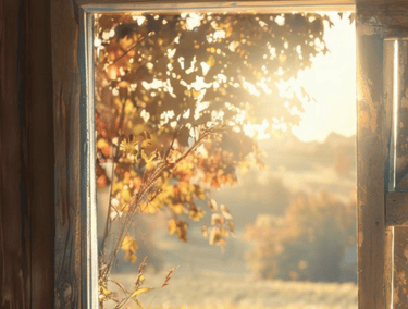 When God Closes a Door, He Opens a Window: Trusting God's Timing