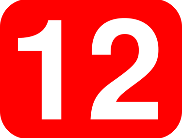 Court Services | 12 Questions We Answer