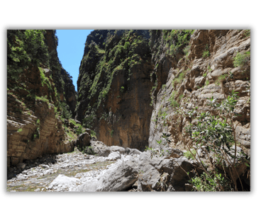 a narrow canyon with a river running through it