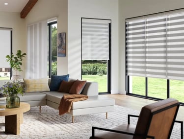 living room with zebra shades and natural light – Rise Up Window Coverings Milwaukee