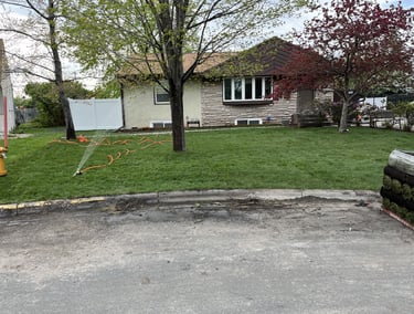 Sod Installation by Legacy Lawn & Landscape