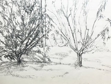 Scotney Castle espalier trees