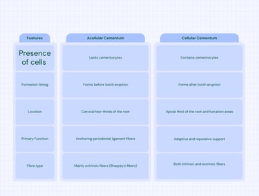 a table image showing difference between cellular and accellular cementum