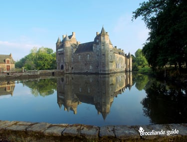 Quelques idées de balades et découvertes à proximité