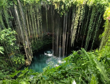 Cenote in Mexico’s Yucatán Peninsula, surrounded by lush greenery