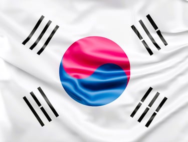 a flag of the south korean flag