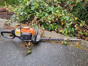Hedge trimmer tool used for blackberry removal