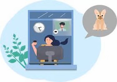 Animated Picture of Perfect Paw Pups Maltese Adoption Process.