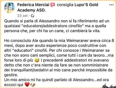 cuccioli sharpei campania