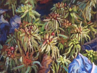 Sphagnum Moss - Painting by Mary Morey