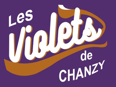 logo les violets de chanzy - 16Print - partenaire