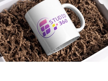 Studio 360 Tampa Branding & Automation AI, Logo Web site Social media Business Setup