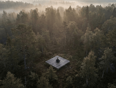 guest in meditation pose on a wooden platform surrounded by forest at dawn