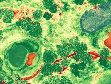 a green and red image of a cell phone