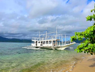 Boat 3D2N Linapacan Island Tour