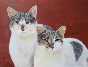 Gatos de Bea y Beppe - Acrilico 30x40cm