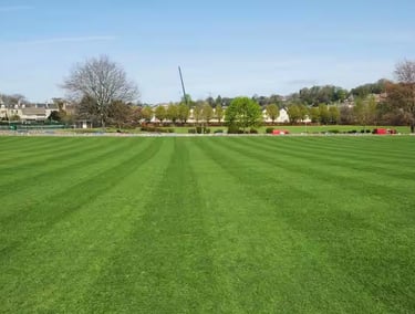 lawn grass suppliers Telangana