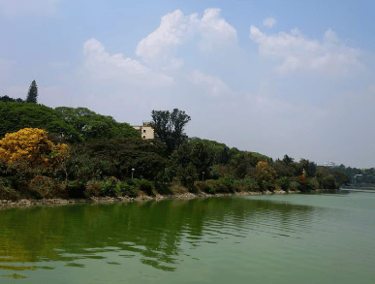 Ambur Lake