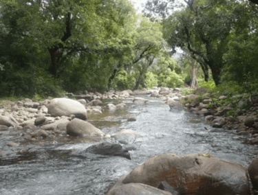 Ayyanar Falls, Rajapalayam