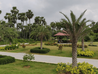 Botanical Garden, Semmedu