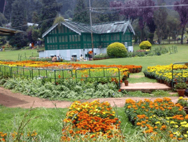 Bryant Park dIndigul