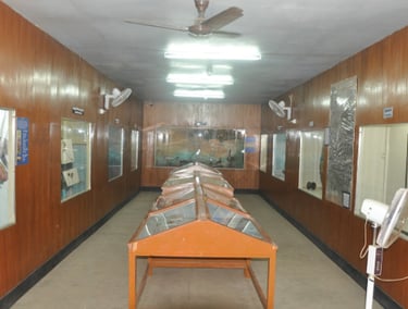 Government Museum, Krishnagiri