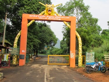 Kalakad Mundanthurai Tiger Reserve (Kalakkad Range)