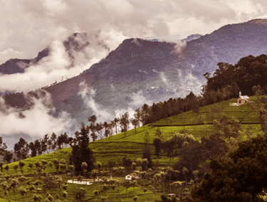 Kotagiri