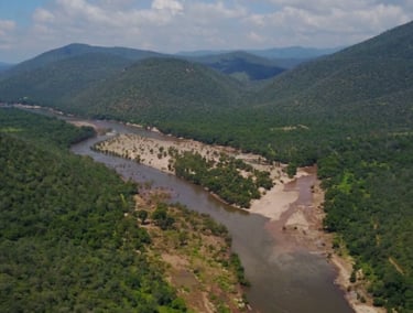 Krishnagiri Forest Reserve