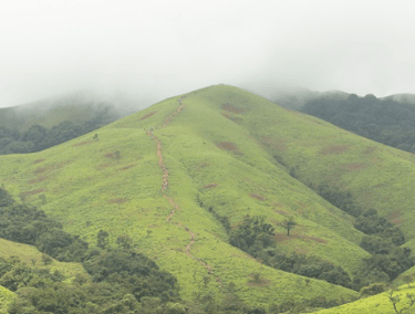 Kurangani Hills