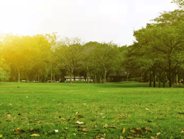 Manavala Nagar Park and Lake