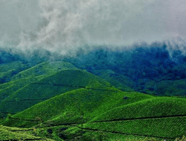 Meghamalai (High Wavy Mountains)