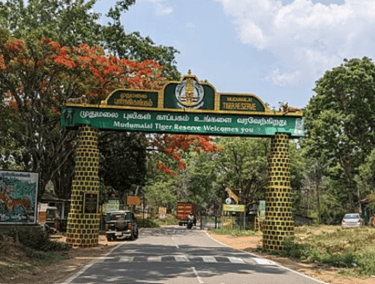 Mudumalai National Park