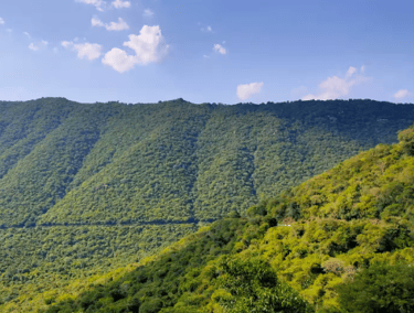 Pachamalai Hills (Nearby Excursion)