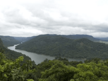 Palar River Bank
